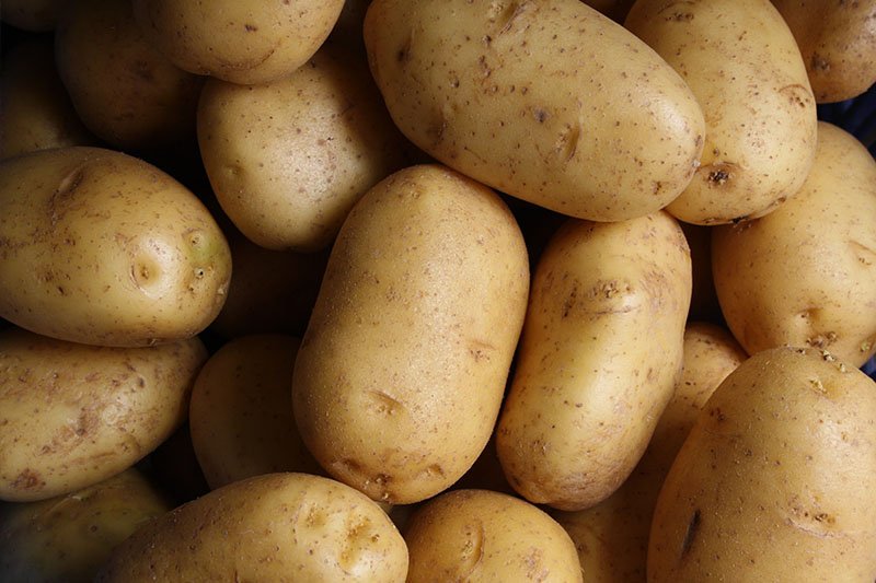 Bio Kartoffeln, festkochend, 2kg