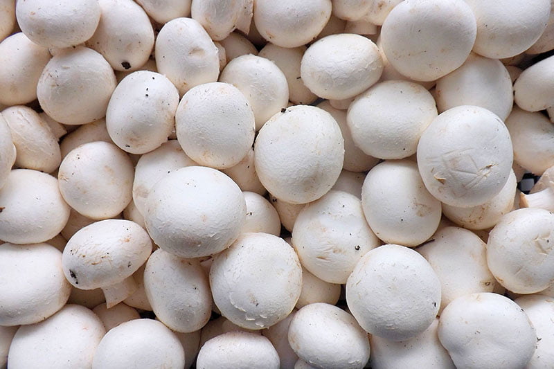 Champignons, 0,60€ / 100g