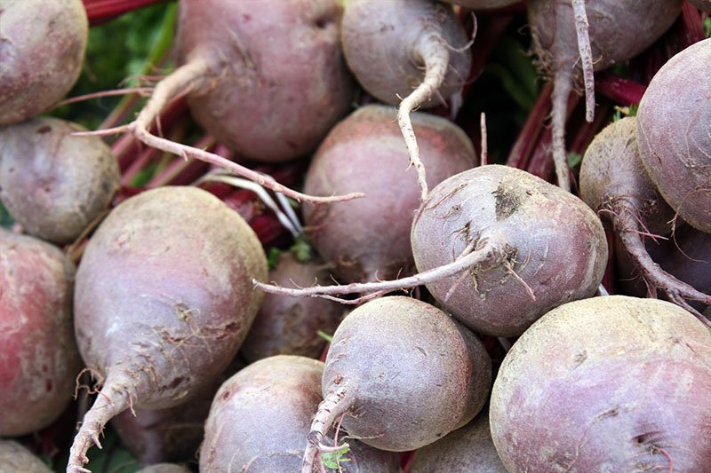 Rote Rüben, 500g regional und unverpackt - kaufen bei Regio-Delivery
