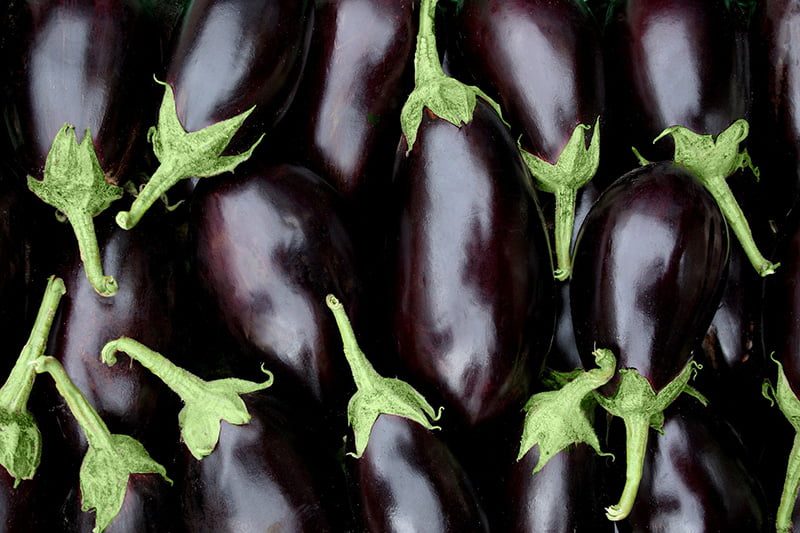 Aubergine