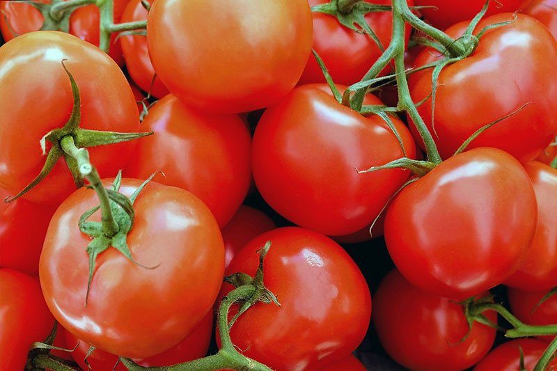 Tomaten /kg