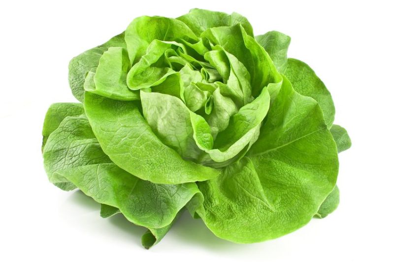 20446340 - fresh lettuce isolated on white
